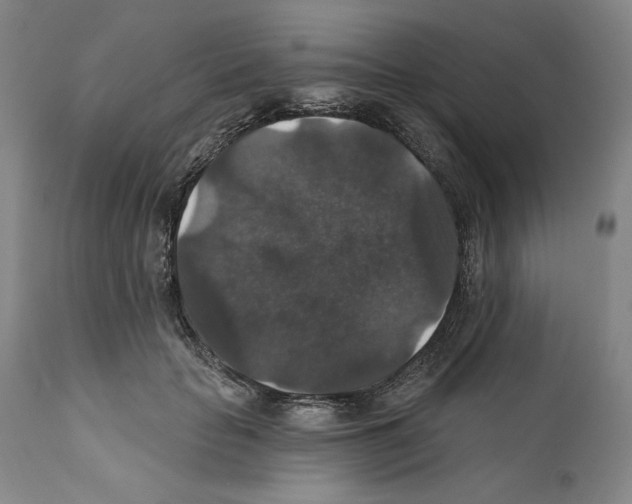 X0000111580653200908271037