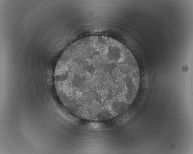 X0000111580654200908271037