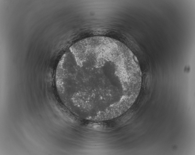 X0000111580655200908271037