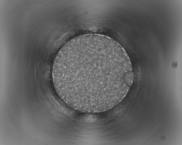 X0000111580656200908271037