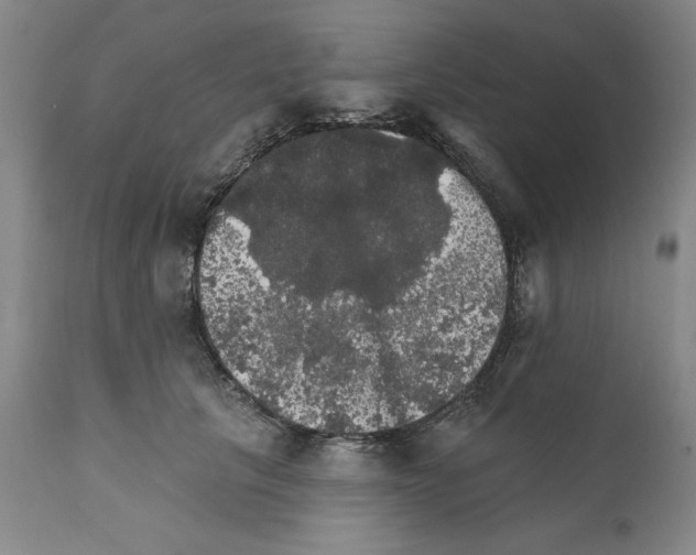 X0000111580657200908271037