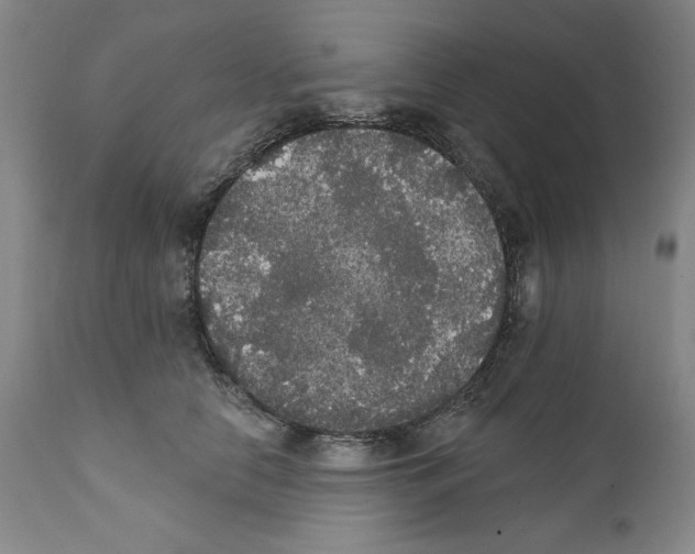 X0000111580658200908271037