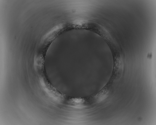 X0000111580659200908271037