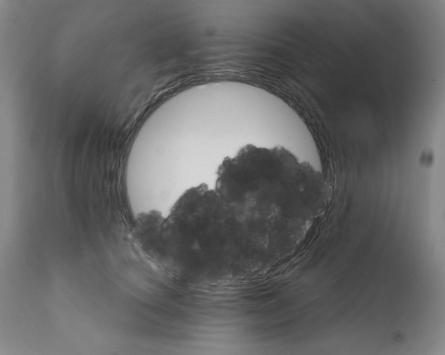 X0000111580660200908271037