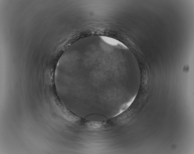 X0000111580661200908271037