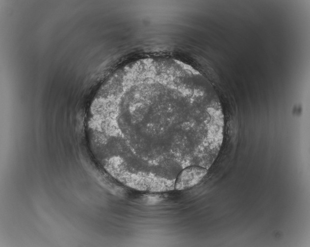 X0000111580662200908271037