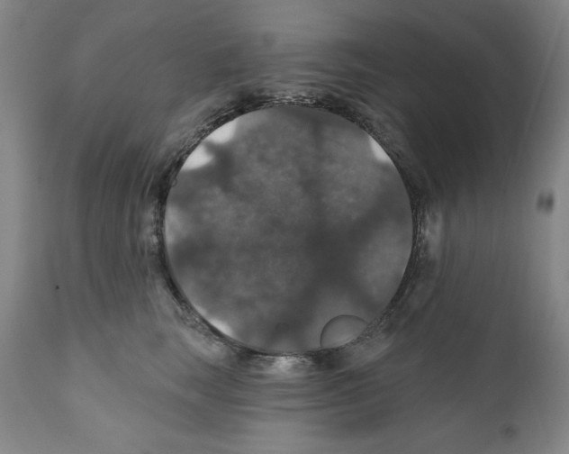 X0000111580663200908271037