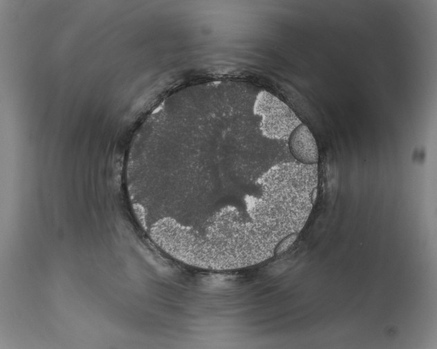 X0000111580664200908271037