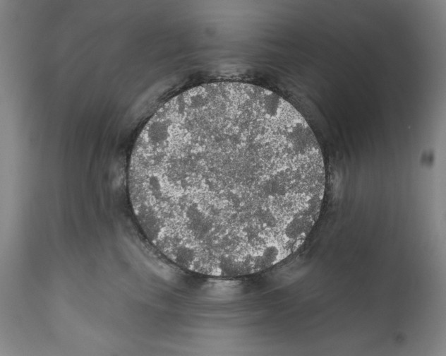 X0000111580665200908271037