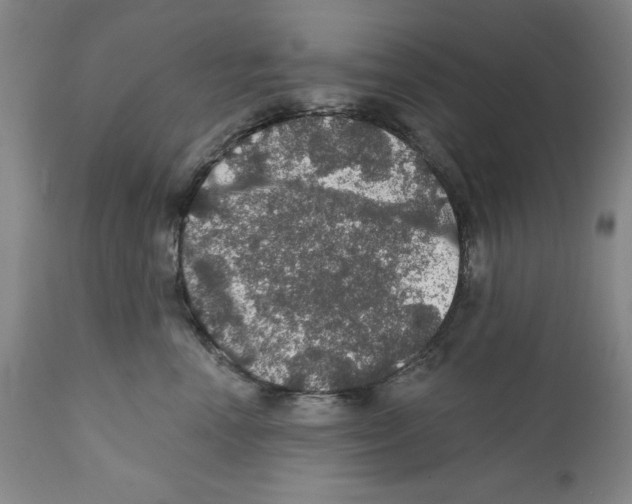 X0000111580666200908271037