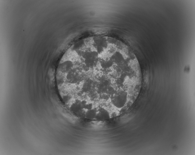 X0000111580667200908271037