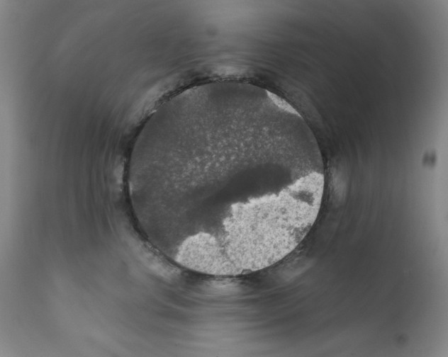 X0000111580668200908271037