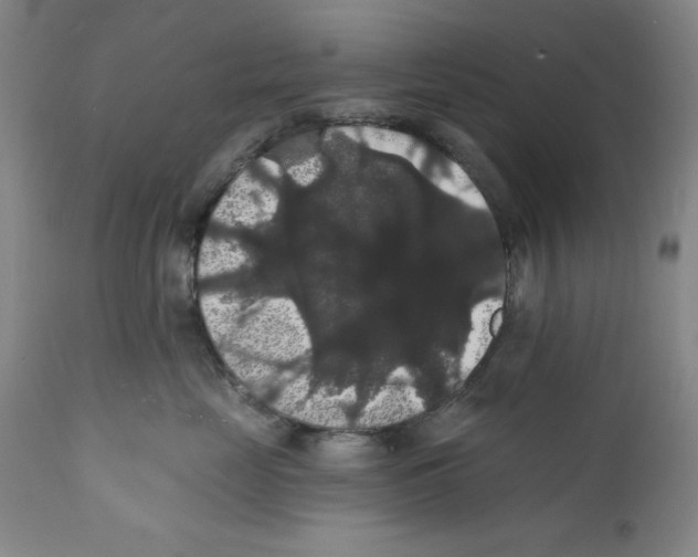 X0000111580669200908271037