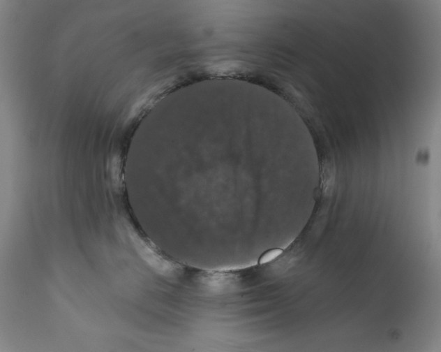 X0000111580670200908271037