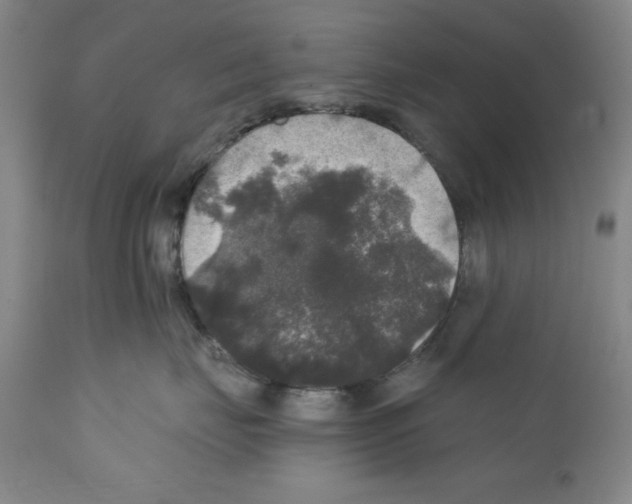 X0000111580671200908271037