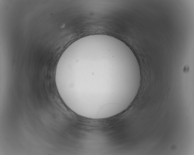 X0000111580672200908271037