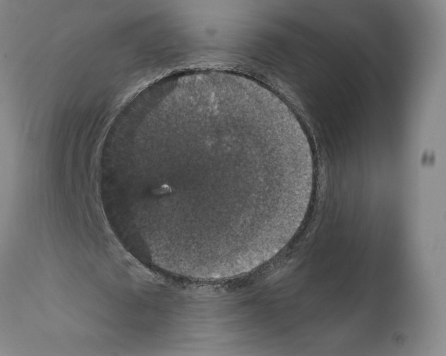 X0000111580673200908271037