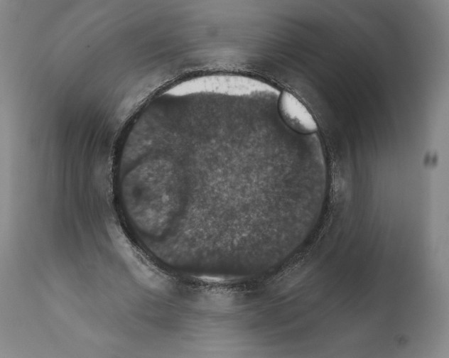 X0000111580677200908271036