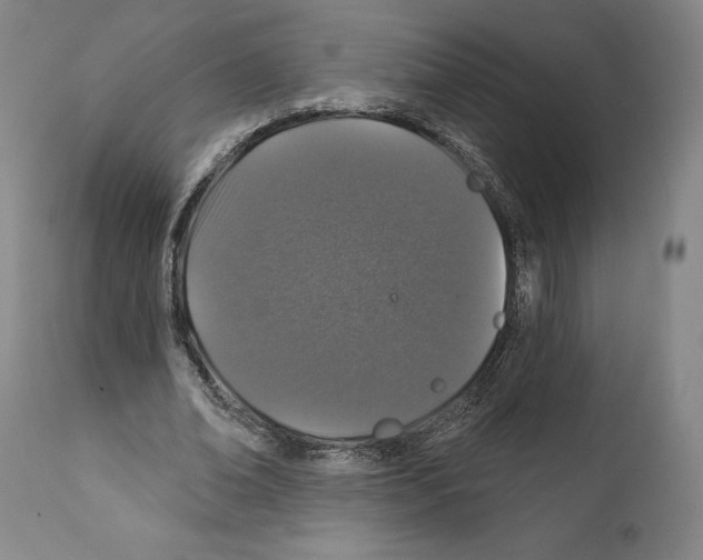 X0000111580678200908271036