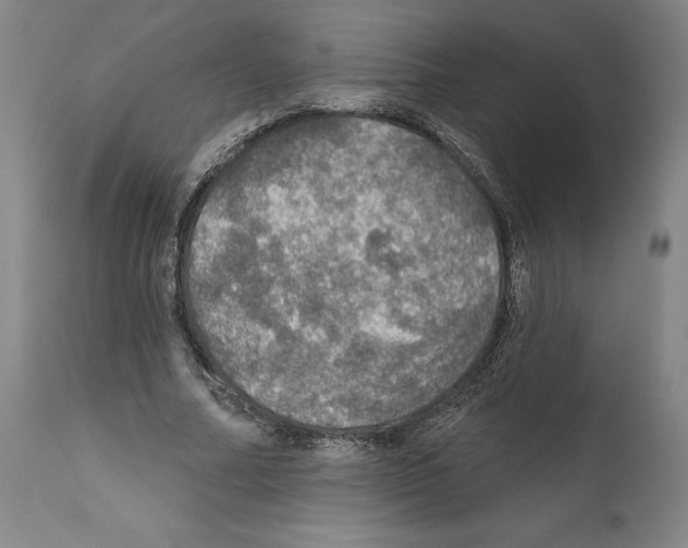 X0000111580682200908271036