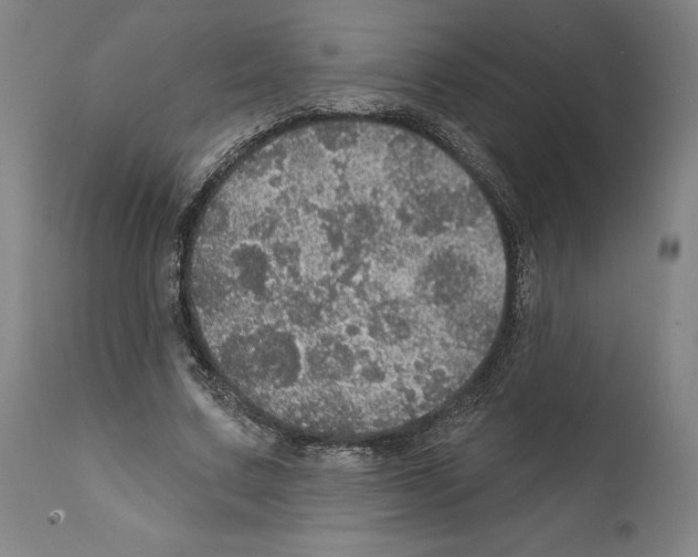 X0000111580683200908271036