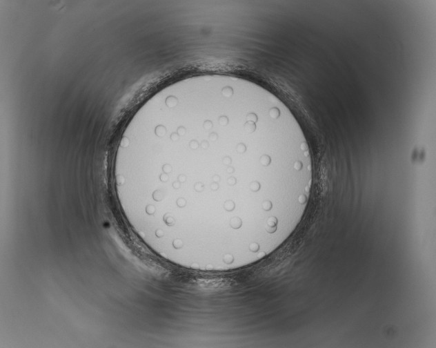 X0000111580686200908271036