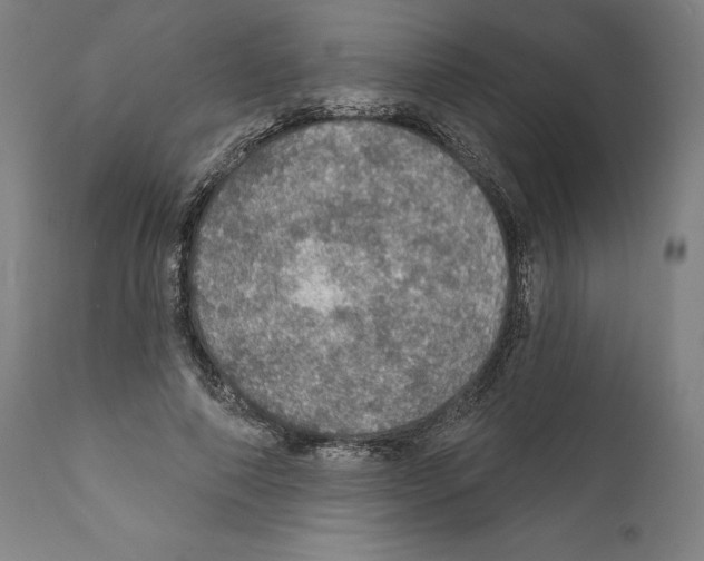 X0000111580690200908271036