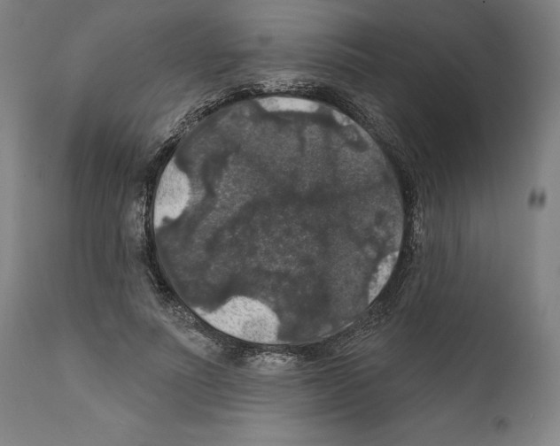 X0000111580691200908271036