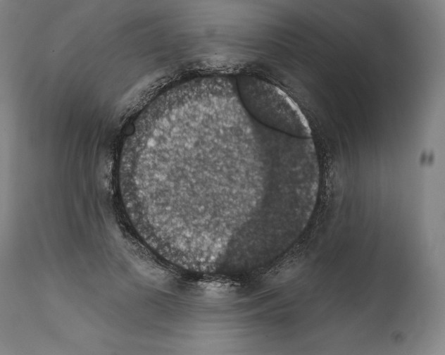 X0000111580693200908271036