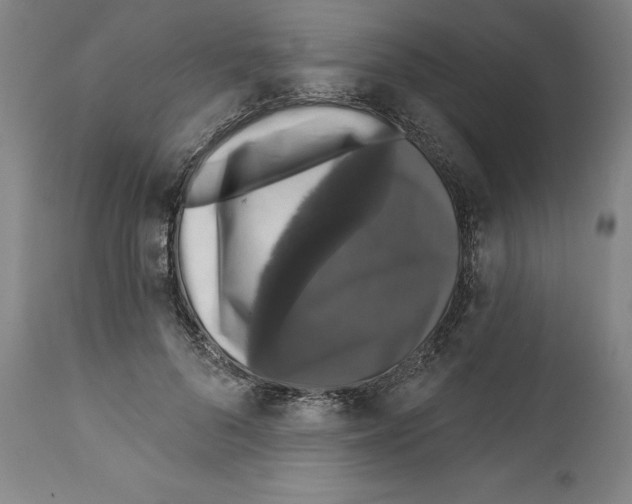 X0000111580696200908271036