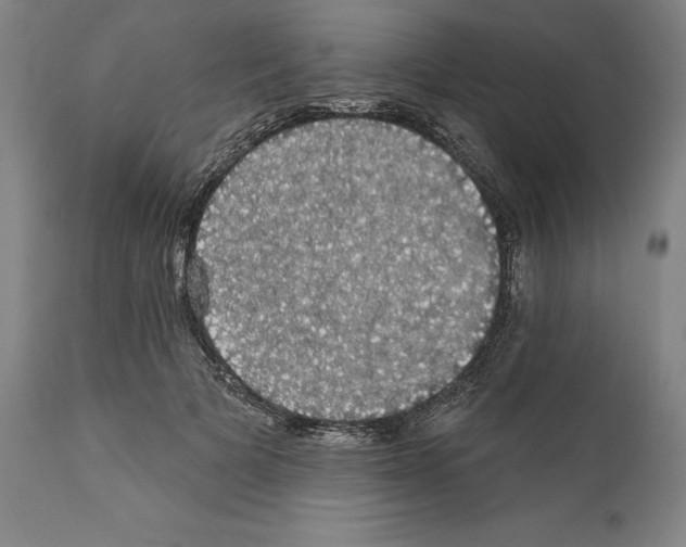 X0000111580697200908271036