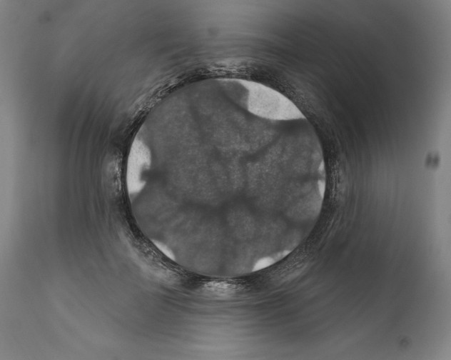 X0000111580699200908271036