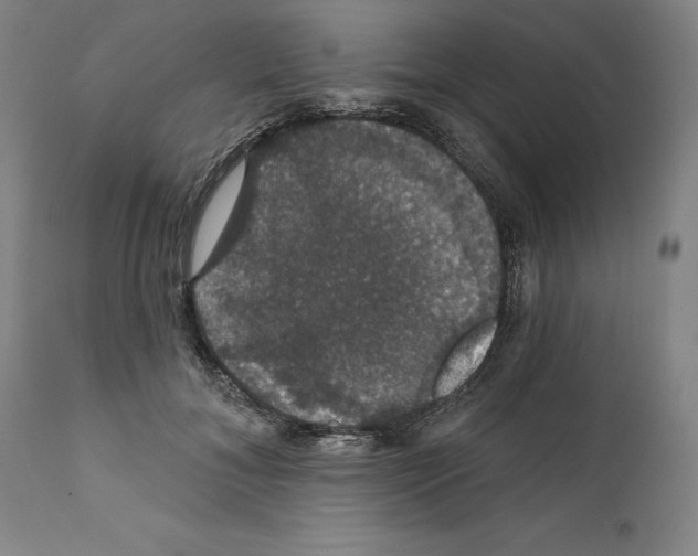 X0000111580700200908271036