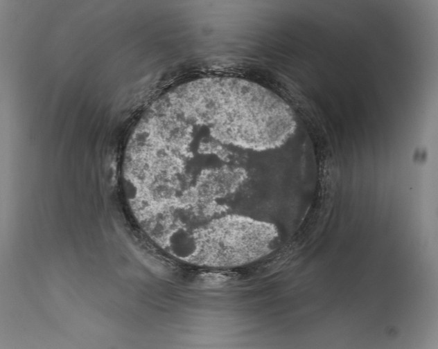 X0000111580703200908271036