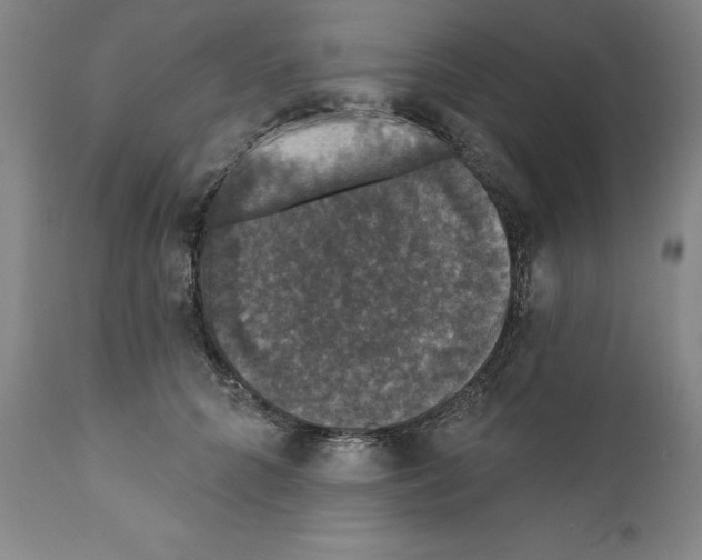 X0000111580704200908271036