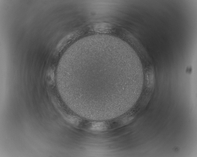 X0000111580705200908271036