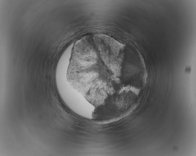 X0000111580707200908271036