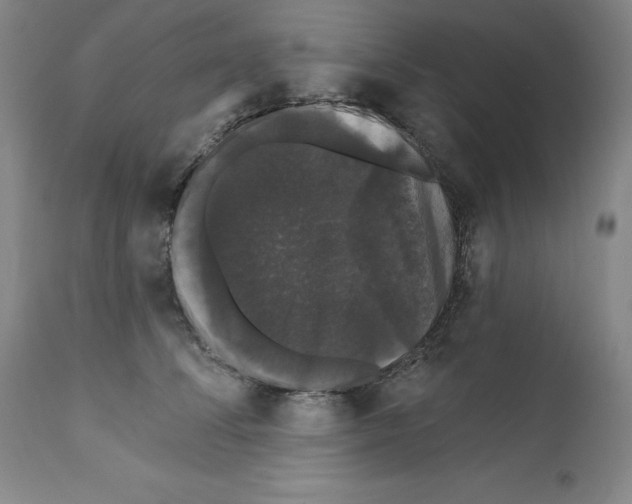 X0000111580708200908271036