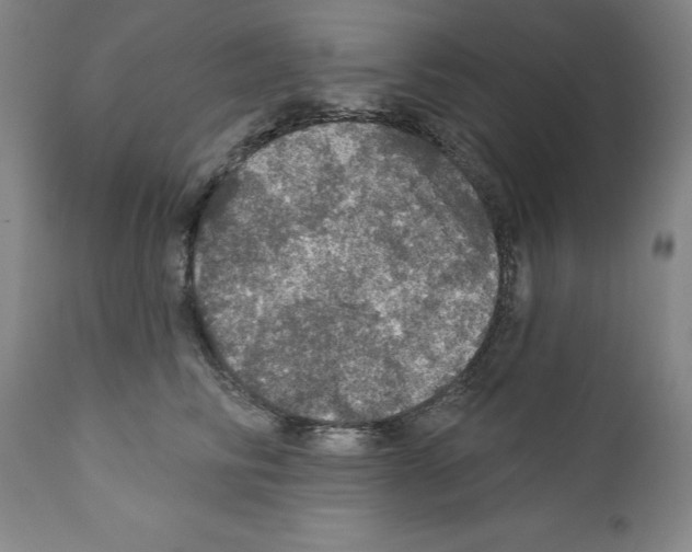 X0000111580710200908271036