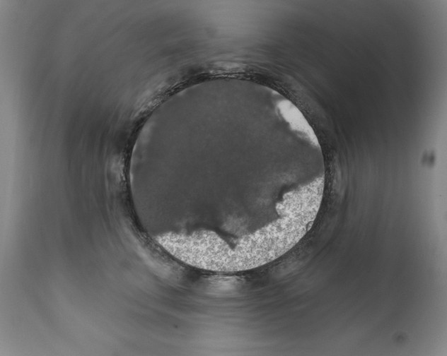 X0000111580711200908271036