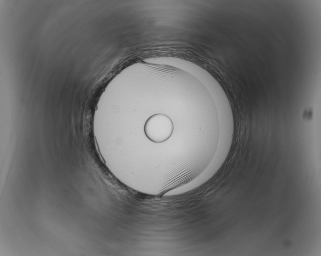 X0000111580712200908271036