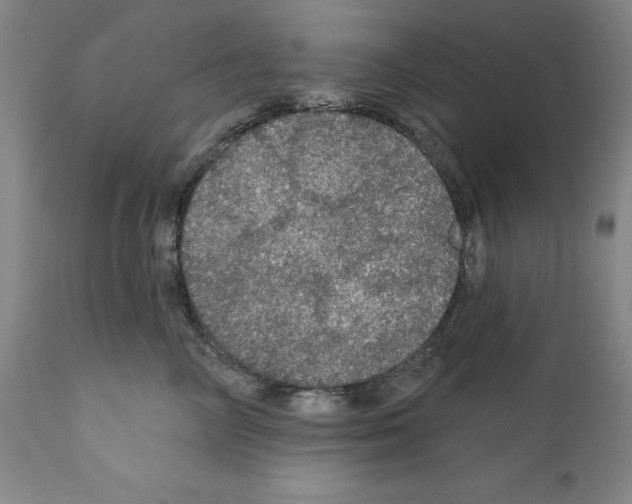 X0000111580714200908271036