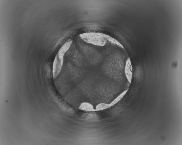 X0000111580715200908271036