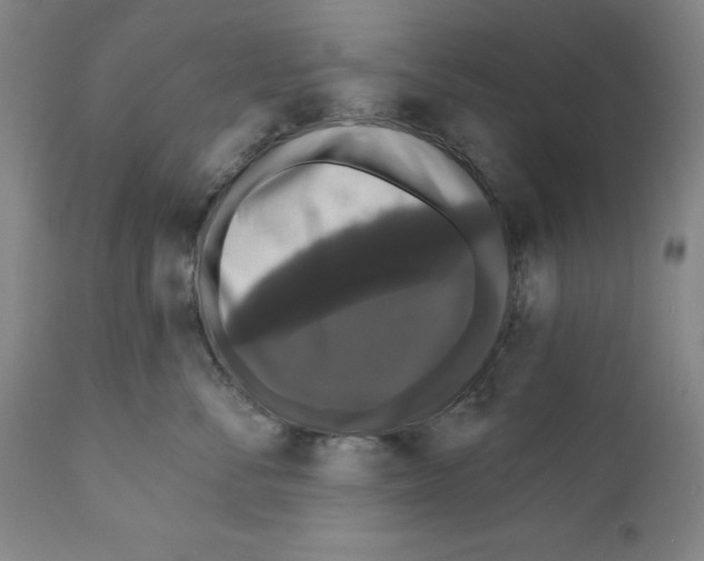 X0000111580716200908271036