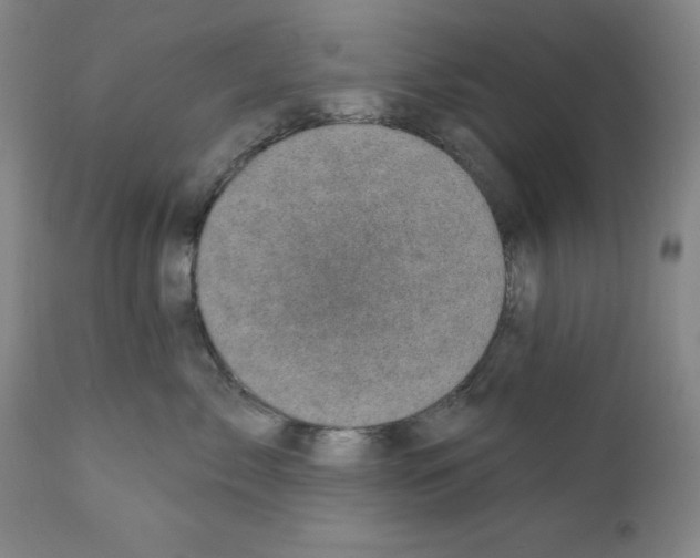 X0000111580717200908271036