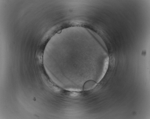 X0000111580718200908271036