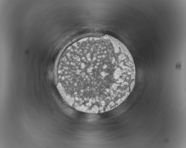 X0000111580719200908271036