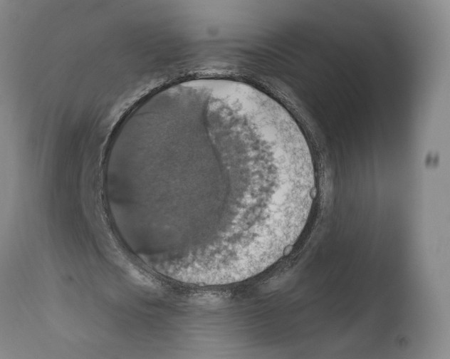 X0000111580721200908271035