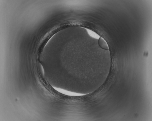 X0000111580722200908271035