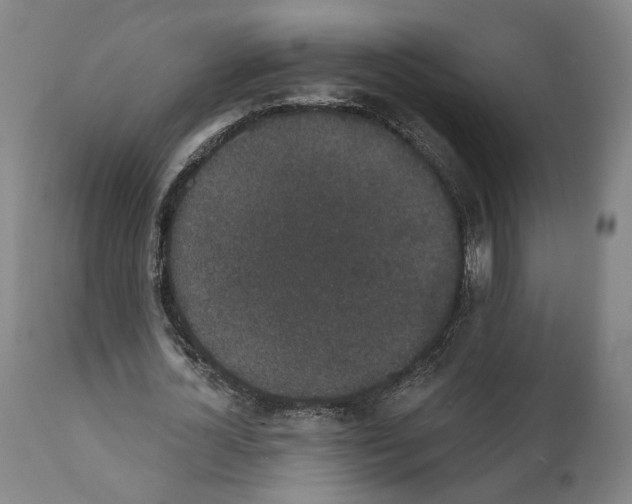 X0000111580724200908271035